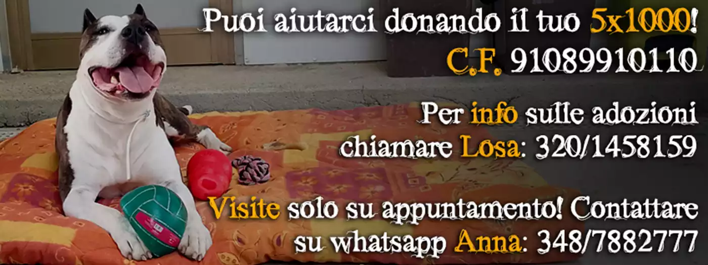 Aiutaci ad aiutarli